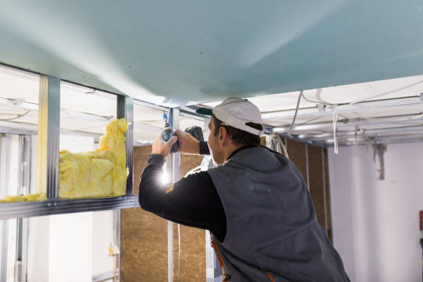 Trusted Forrest, IL Insulation Experts